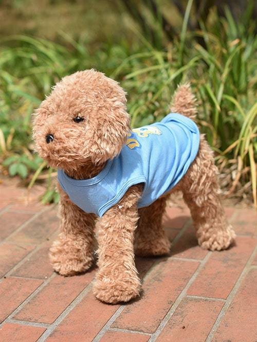 UCLA BRUINS TEE DOG LIGHT BLUE ETOFFE