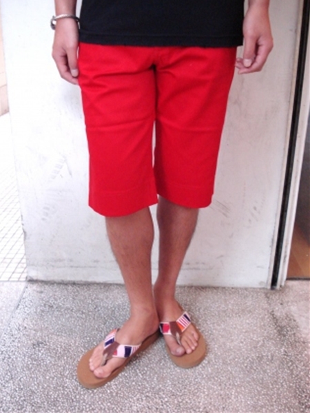 DICKIES SHORTS