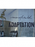 Adaptation×Dog Town×Max Field 限定　ドックタウン　マックスフィールド　アダプテーション　 スケートボード
