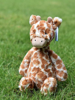 【Mサイズ】Jellycat Bashful Giraffe Medium　キリンの縫いぐるみ　BAS3GN