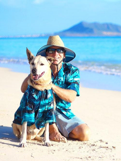 Robert J Clancey Dog Wear Aloha Shirt
