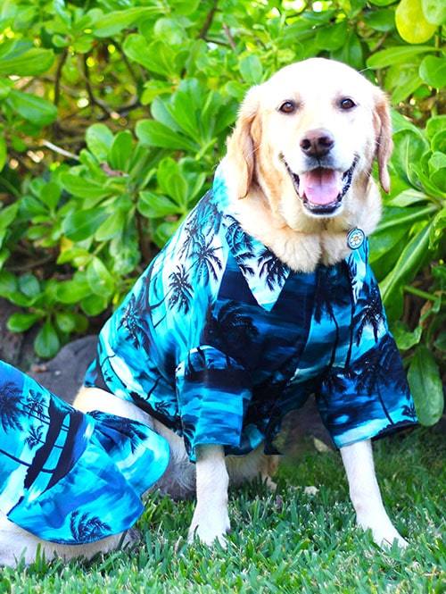 Robert J Clancey Dog Wear Aloha Shirt