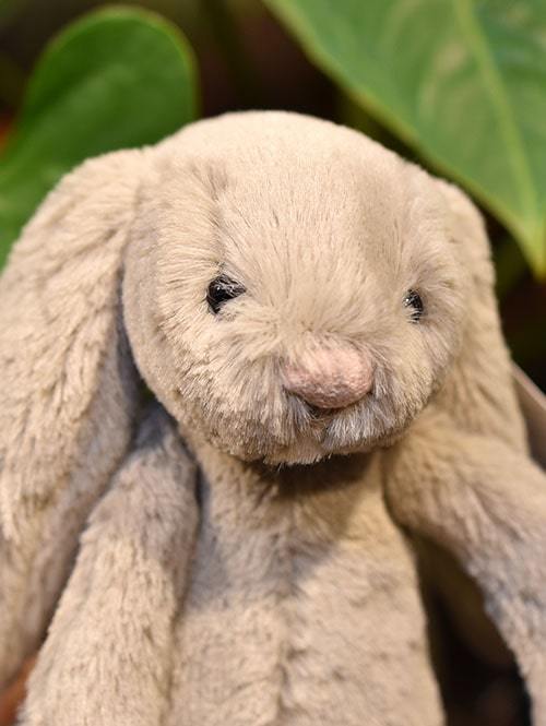 【Sサイズ/18cm 】Jellycat Bashful Beige Bunny Small　バシュフル　ベージュ バニー  小さなウサギの縫いぐるみ