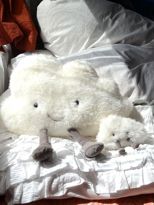 再入荷なし完売 Amuseables Cloud Small