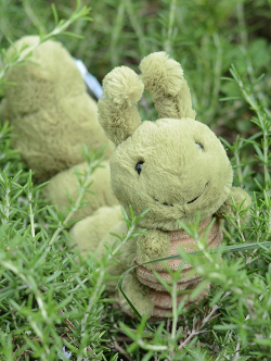 Jellycat Christopher Caterpillar　キャタピラー