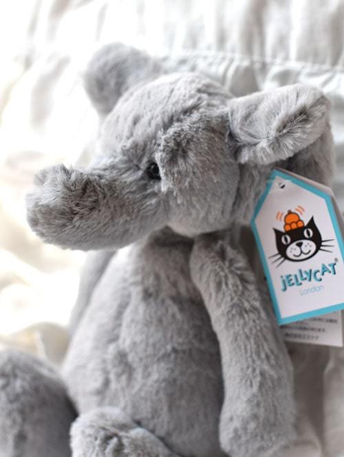 Jellycat Bashful Elephant SMALL ジェリーキャット バシュフル エレファントSサイズ