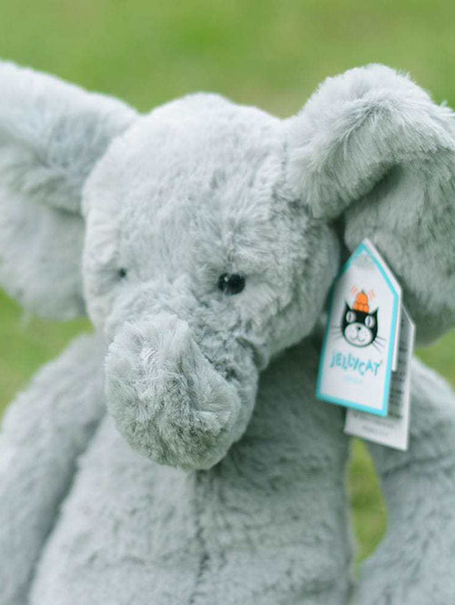 Jellycat Bashful Elephant Medium ジェリーキャット バシュフル エレファント ぞう 縫いぐるみ BAS3EG