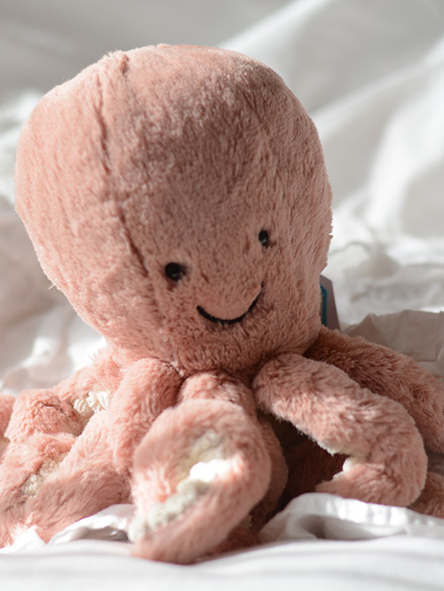 【Badyサイズ / 14cm 】 Odyssey Octopus Baby (TINY) 手のひらサイズ タコ Odell Octopus たこのぬいぐるみ