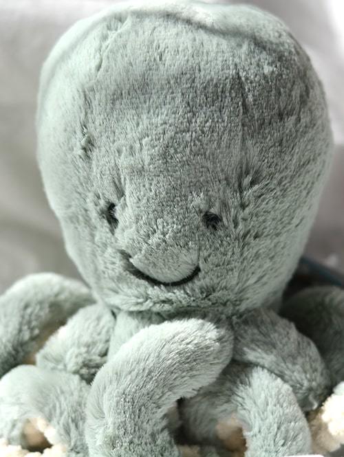 【Sサイズ / 23cm 】JELLYCAT Odyssey Odell Octopus Little(S / リトルサイズ) 23㎝ タコの縫いぐるみ たこ