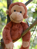 Jellycat Pongo Orangutan オラウータン　縫いぐるみ