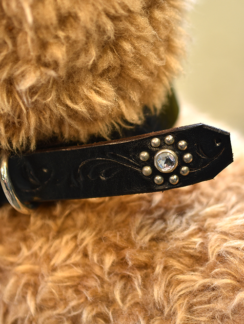 HTC Dog collar (首輪）