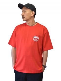 STUSSY STOCK DSM N.Y  Tシャツ Red