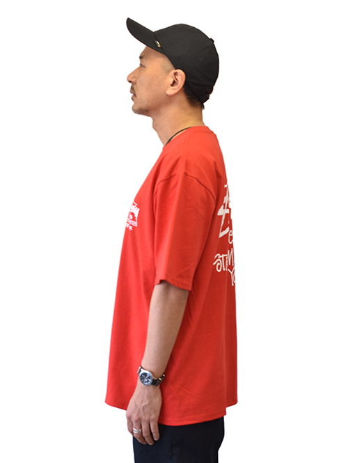 STUSSY STOCK DSM N.Y Tシャツ Red