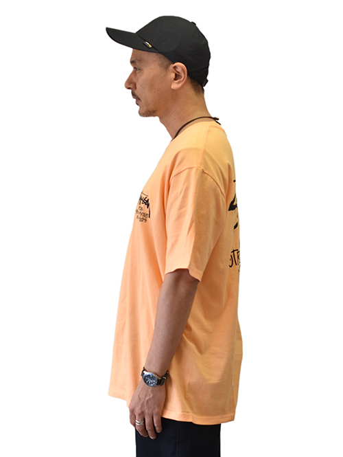 STUSSY STOCK DSM L.A Tシャツ Peach