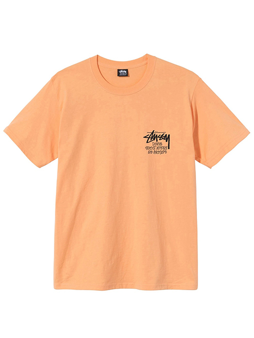 STUSSY STOCK DSM L.A Tシャツ Peach