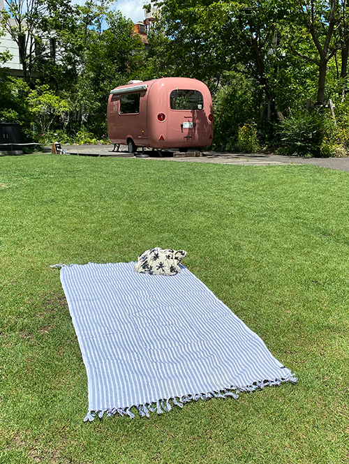 Slow Tide Turkish Towel (ビーチタオル)