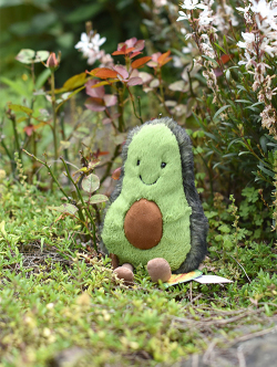 Jellycat Amuseable Avocado　Small　アボカド　縫いぐるみ（A6A)