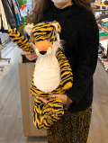 51㎝　特大サイズ Jellycatt Bashful Tiger Huge　ジェリーキャット とら　バシュフル　ティガー トラの縫いぐるみ