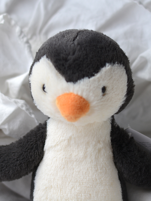 Bashful Penguin Small_BASS6PNG バシュフル　ペンギン　S サイズ