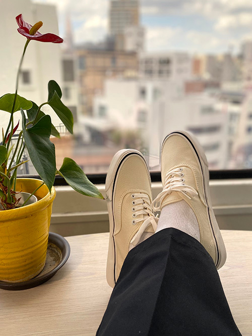 Vans authentic off shop white on feet