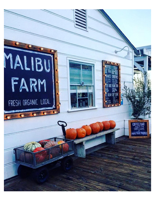 MALIBU FARM CALFORNIA ロングスリーブ Tシャツ