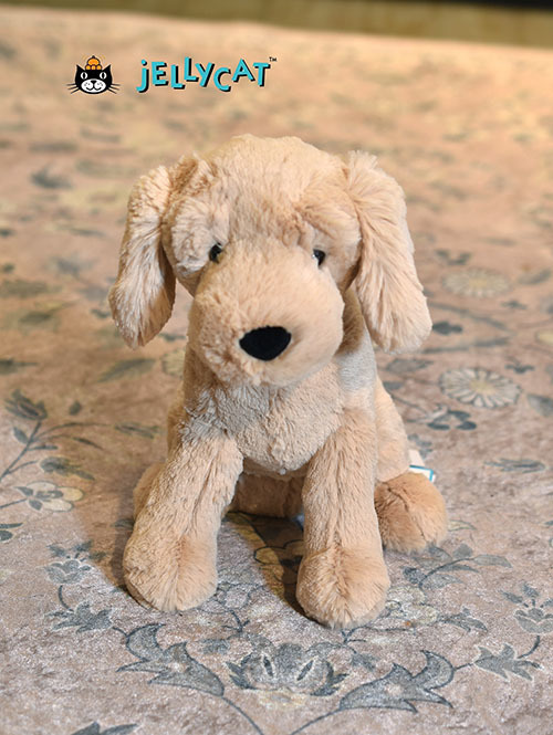 Jellycat ジェリーキャット Tilly Golden Retriever ゴールデンリトリバー　いぬ　Dog (TIL3GR)