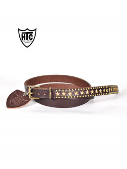 HTC END ONLY Around Studs Star 0.75 Brown/Gold