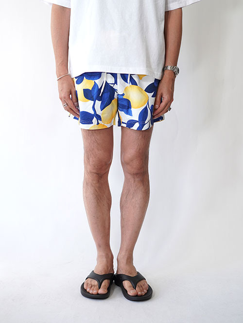 Pacsun Lemons Eco 4.5" Swim Trunks