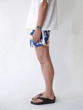 Pacsun  Lemons Eco 4.5" Swim Trunks