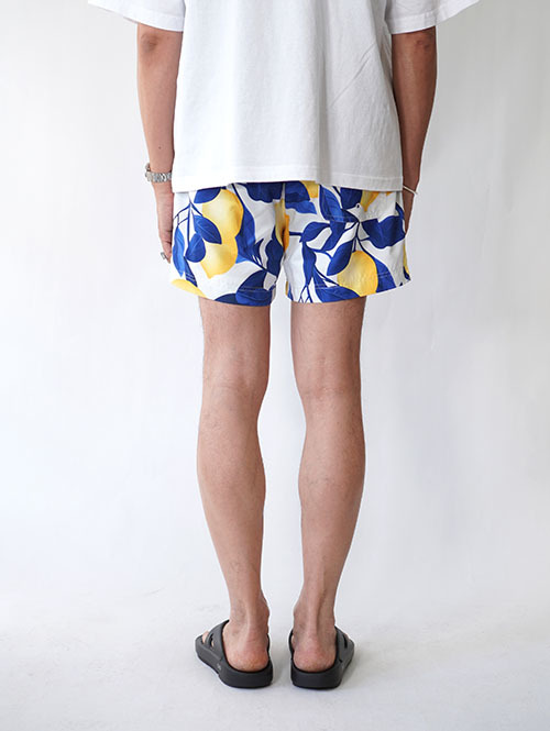 Pacsun Lemons Eco 4.5" Swim Trunks