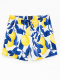 Pacsun  Lemons Eco 4.5" Swim Trunks