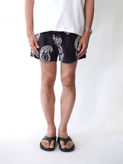 Pacsun Watercolor 4.5" Swim Trunks 57