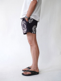 Pacsun Watercolor 4.5" Swim Trunks 57