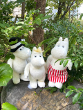 世界限定 　Charlie Bears チャーリーベアーズ　ムーミンシリーズ　ノンノン 　フローレン　 Snorkmaiden  スノークのおじょうさん　限定生産