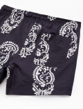 Pacsun Watercolor 4.5" Swim Trunks