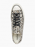 Chuck 70 Glow-In-The-Dark Leopard Print
