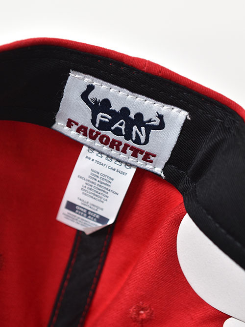 Fan Favorite NBA Cotton Cap