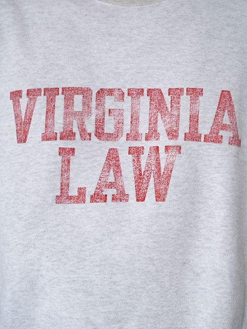 REMI RELIEF  NEW SP加工3飛び裏毛クルー (VIRGINIA LAW)