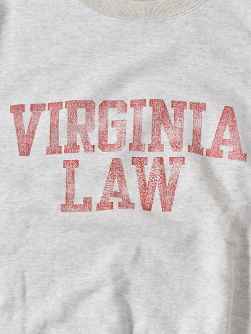 REMI RELIEF  NEW SP加工3飛び裏毛クルー (VIRGINIA LAW)