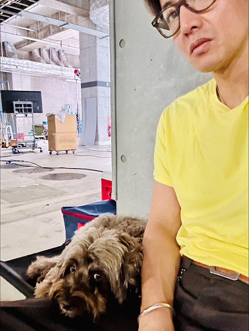 HTC Dickies Pants #Arrow Chain - Brown