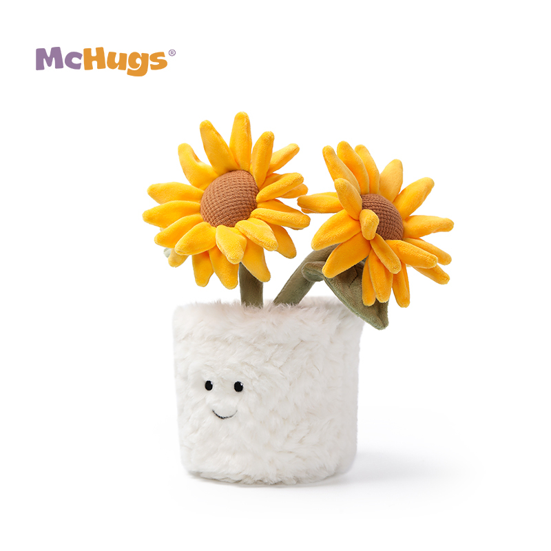 Mchugs Sunshine Sunflower Bonsai（マックハグス）サンシャインサンフラワーボンサイ　向日葵の盆栽　ひまわり　盆栽