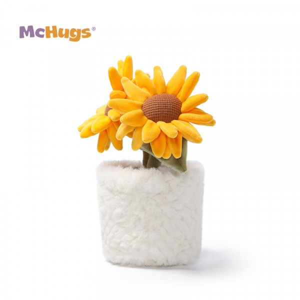 Mchugs Sunshine Sunflower Bonsai（マックハグス）サンシャインサンフラワーボンサイ　向日葵の盆栽　ひまわり　盆栽