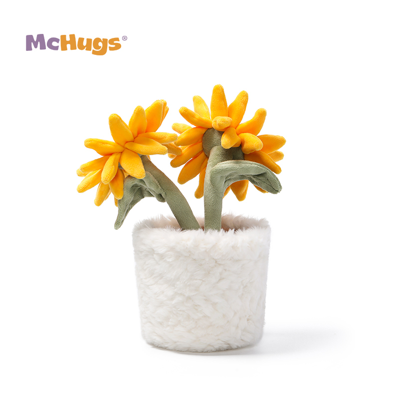 Mchugs Sunshine Sunflower Bonsai（マックハグス）サンシャインサンフラワーボンサイ　向日葵の盆栽　ひまわり　盆栽