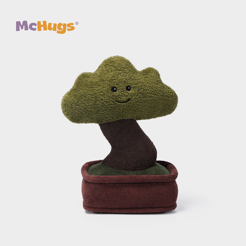 Mchugs Pine Bonsai（マックハグス）パインボンサイ　松の木の盆栽　松　盆栽
