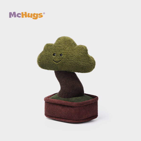 Mchugs Pine Bonsai（マックハグス）パインボンサイ　松の木の盆栽　松　盆栽