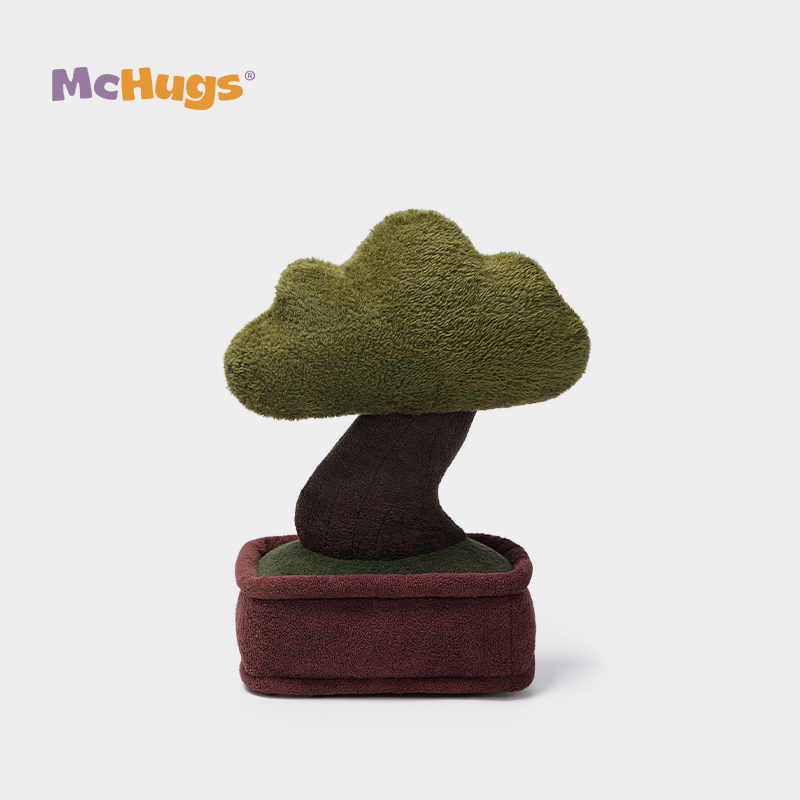 Mchugs Pine Bonsai（マックハグス）パインボンサイ　松の木の盆栽　松　盆栽
