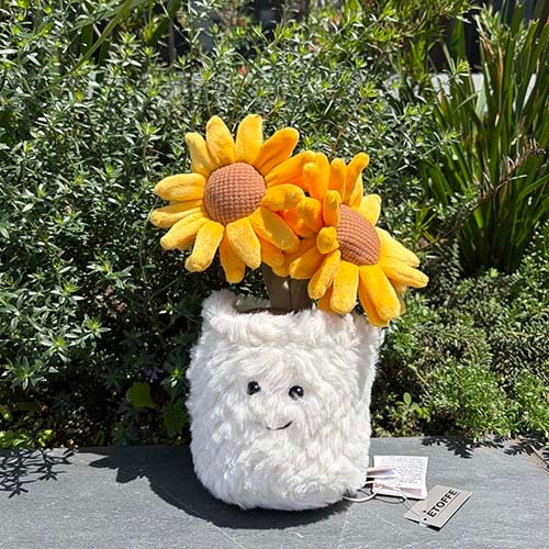 Mchugs Sunshine Sunflower Bonsai（マックハグス）サンシャインサンフラワーボンサイ　向日葵の盆栽　ひまわり　盆栽