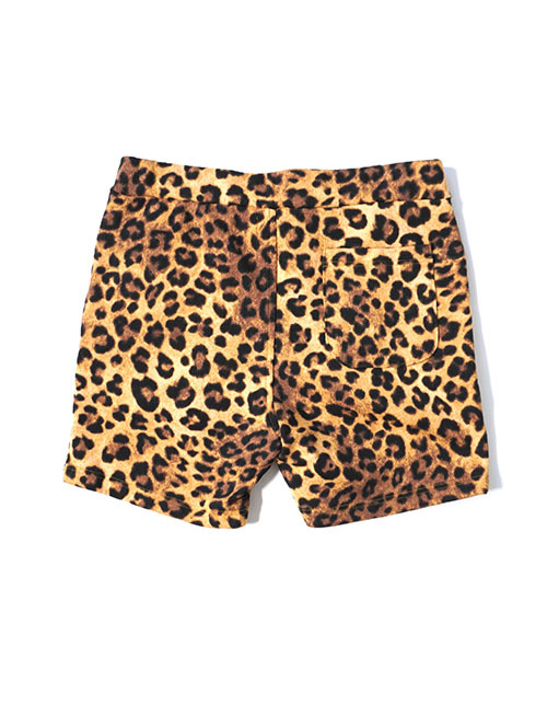 ILL ONE EIGHTY LEOPARD SWEAT SHORTS - Beige