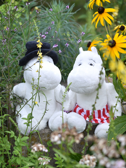 Charlie Bears チャーリーベアーズ　ムーミンシリーズ　Moominpappa(ムーミンパパ)PLUSH COLLECTION