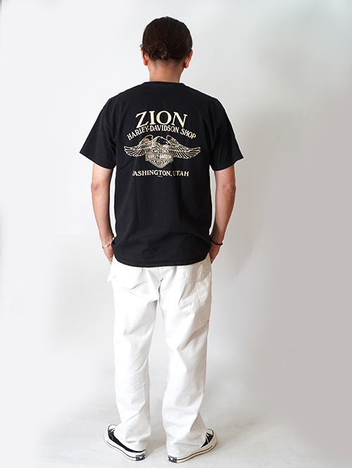 Dickies×American Rag Cie ペインターパンツ